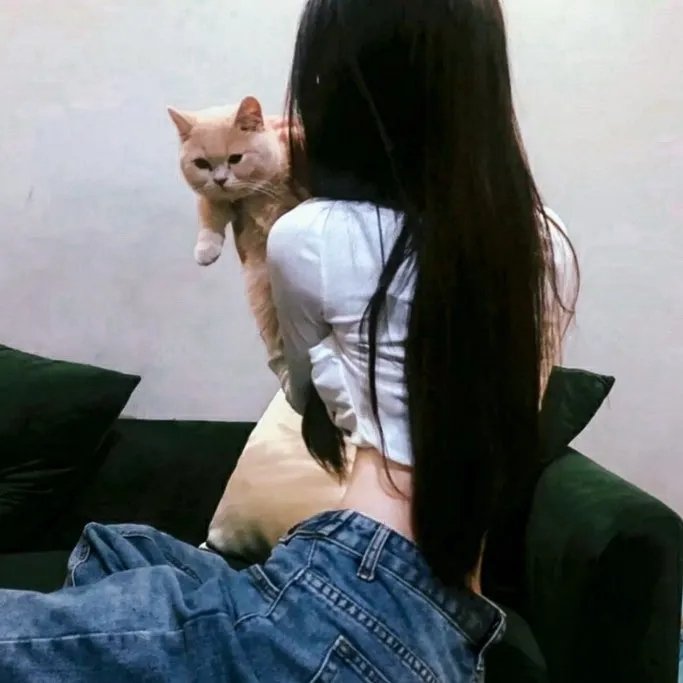 悬疑犯罪片单
